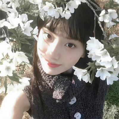 大白鲨第三集