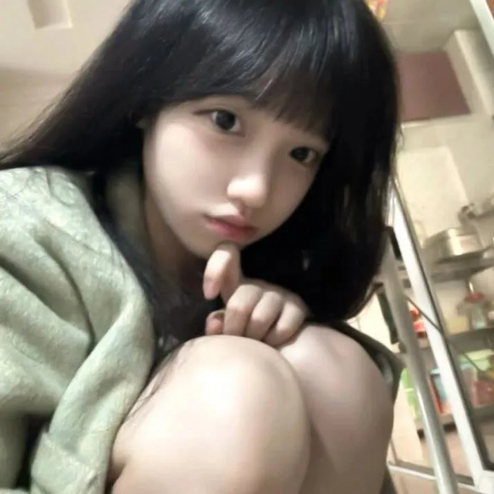 汽车总动员2015