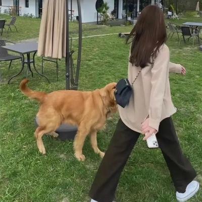 甜蜜的来世